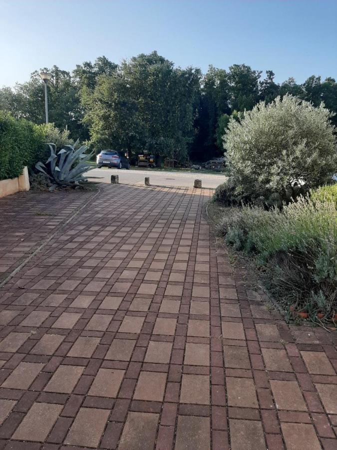 Medo Apartamento Novigrad Istria Exterior foto